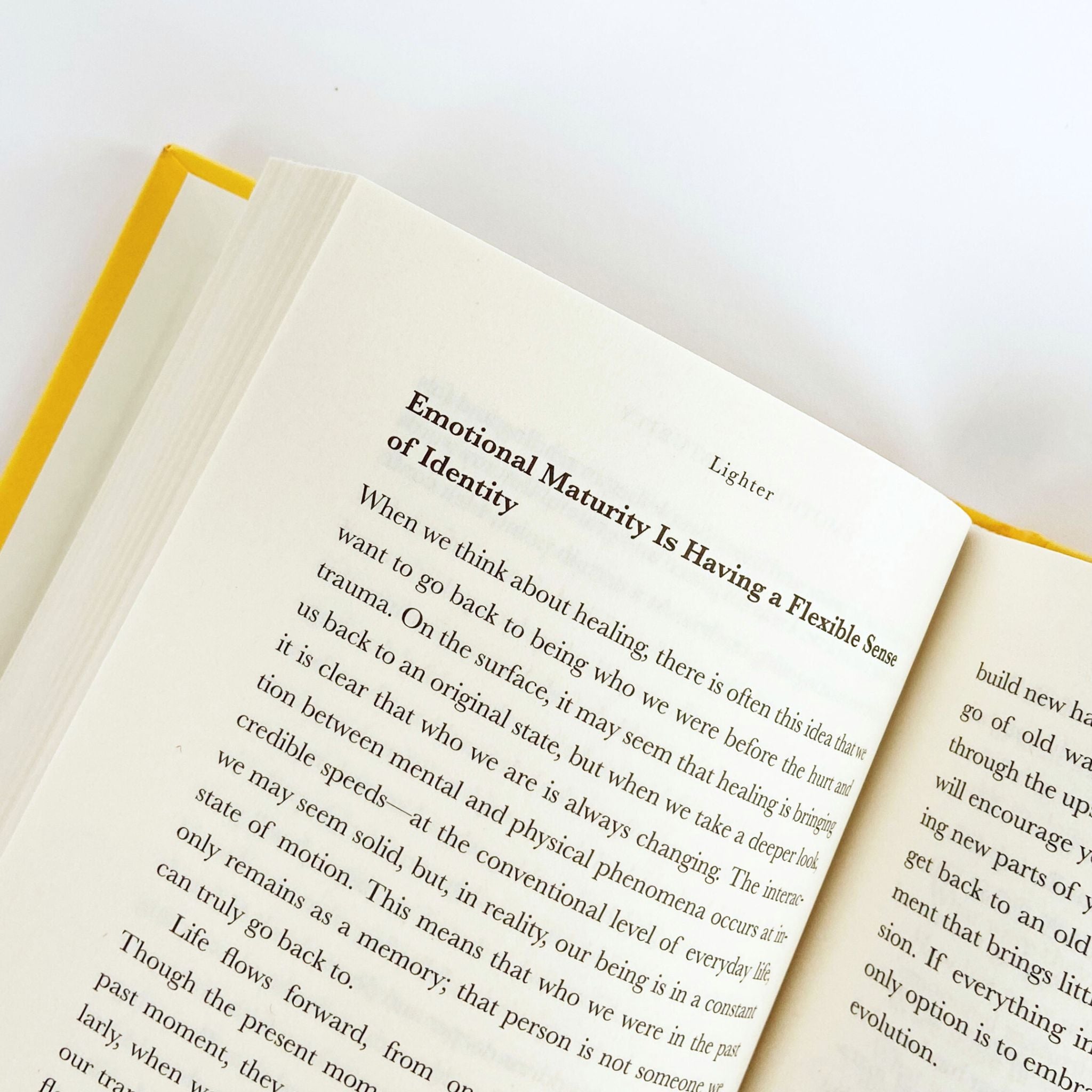 LIGHTER by Yung Pueblo