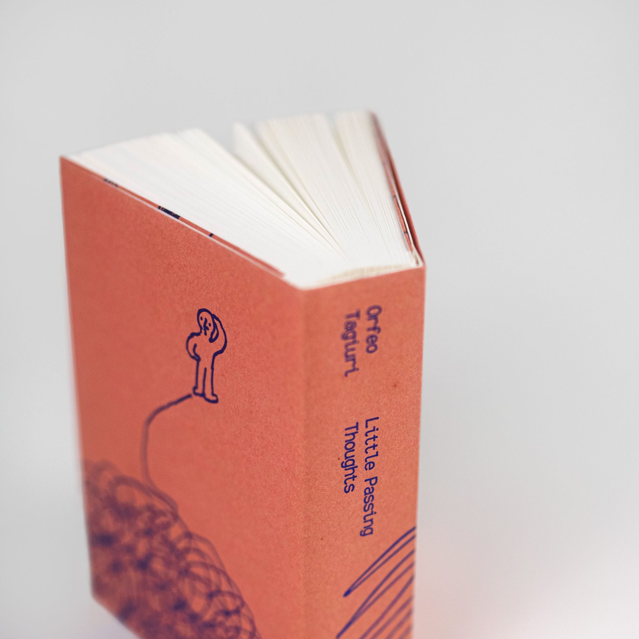 LITTLE PASSING THOUGHTS by Orfeo Tagiuri