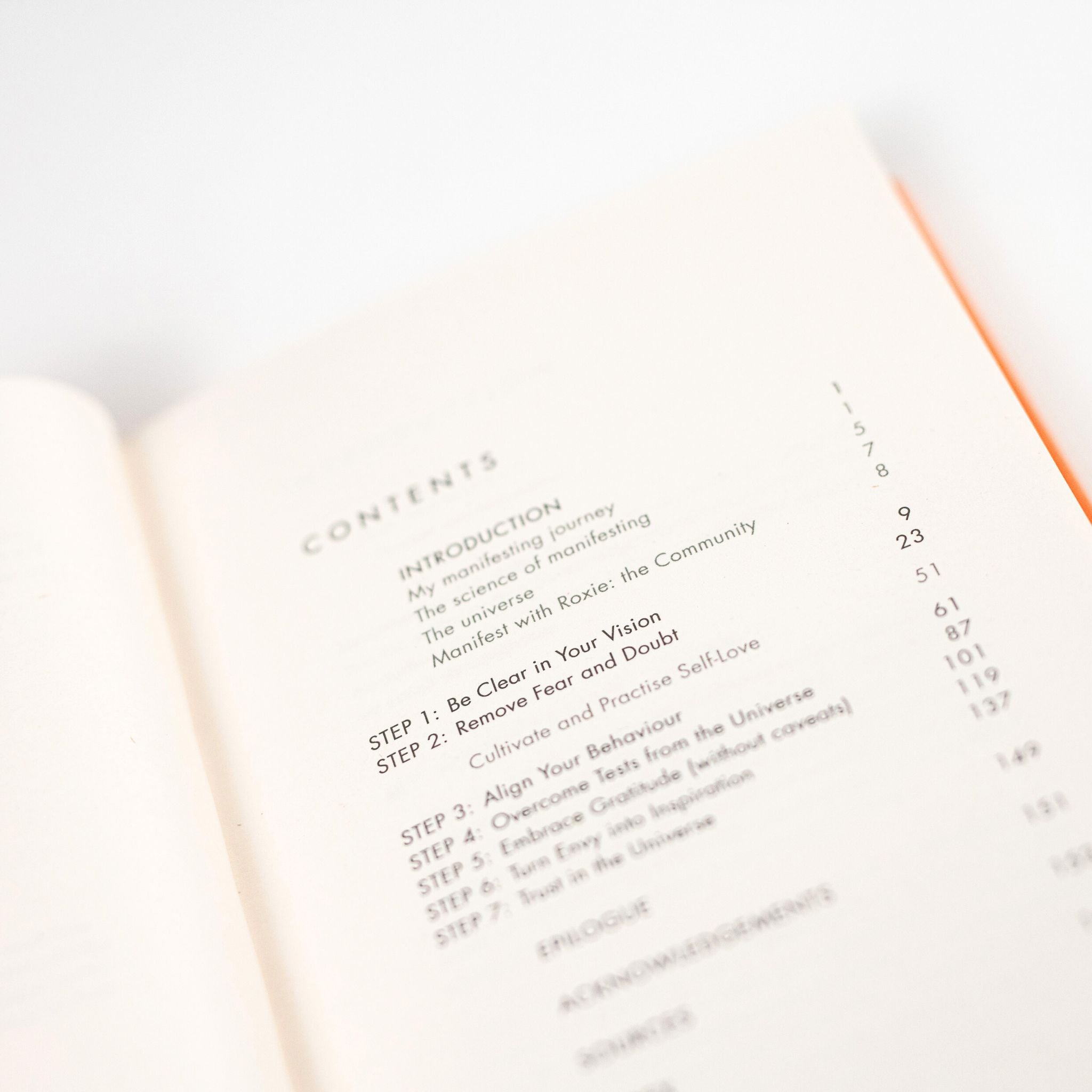 MANIFEST by Roxie Nafousi