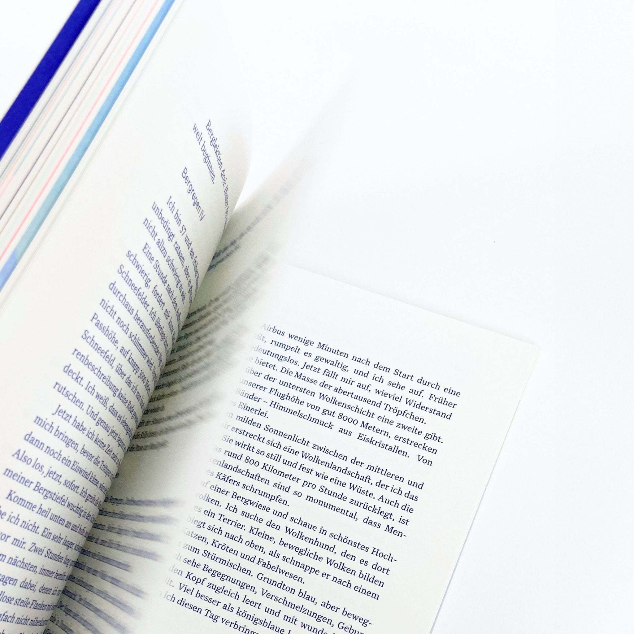 REGEN by Christian Sauer