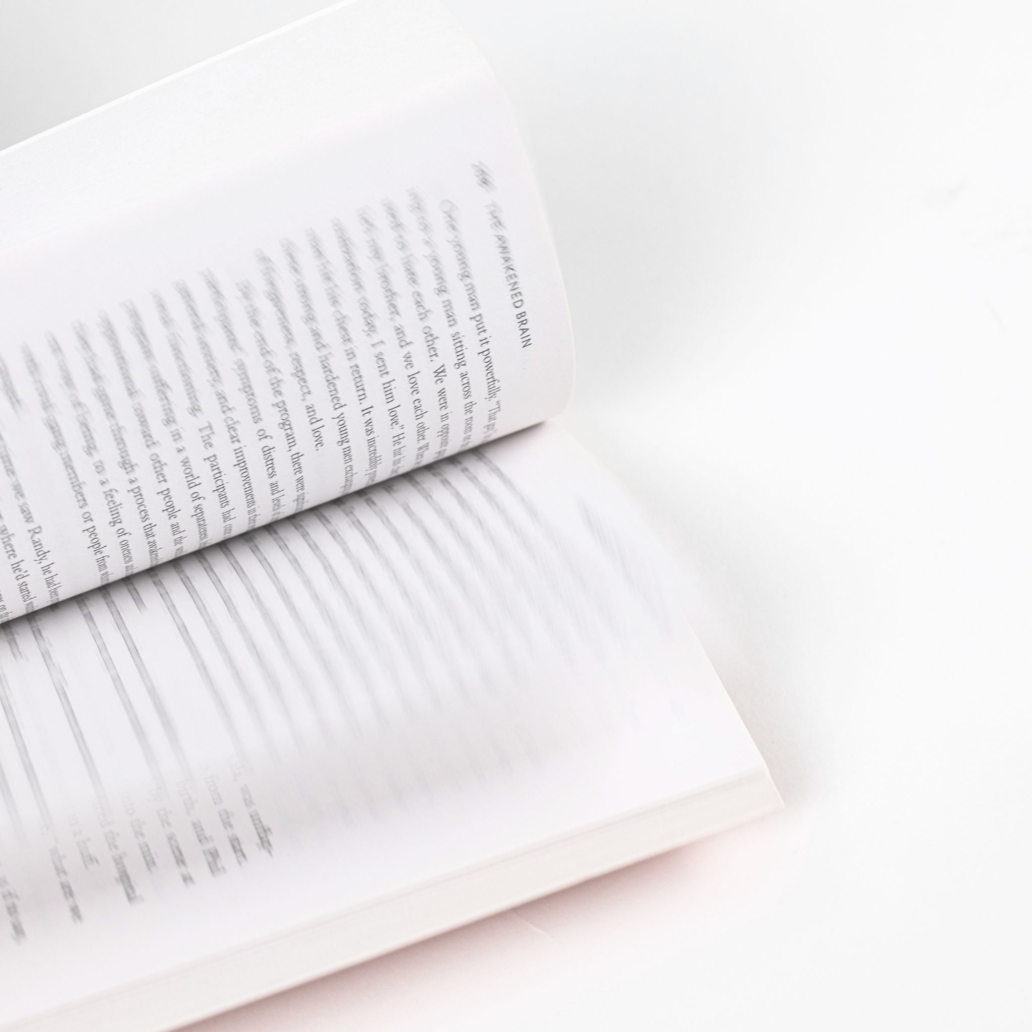 THE AWAKENED BRAIN by Lisa Miller