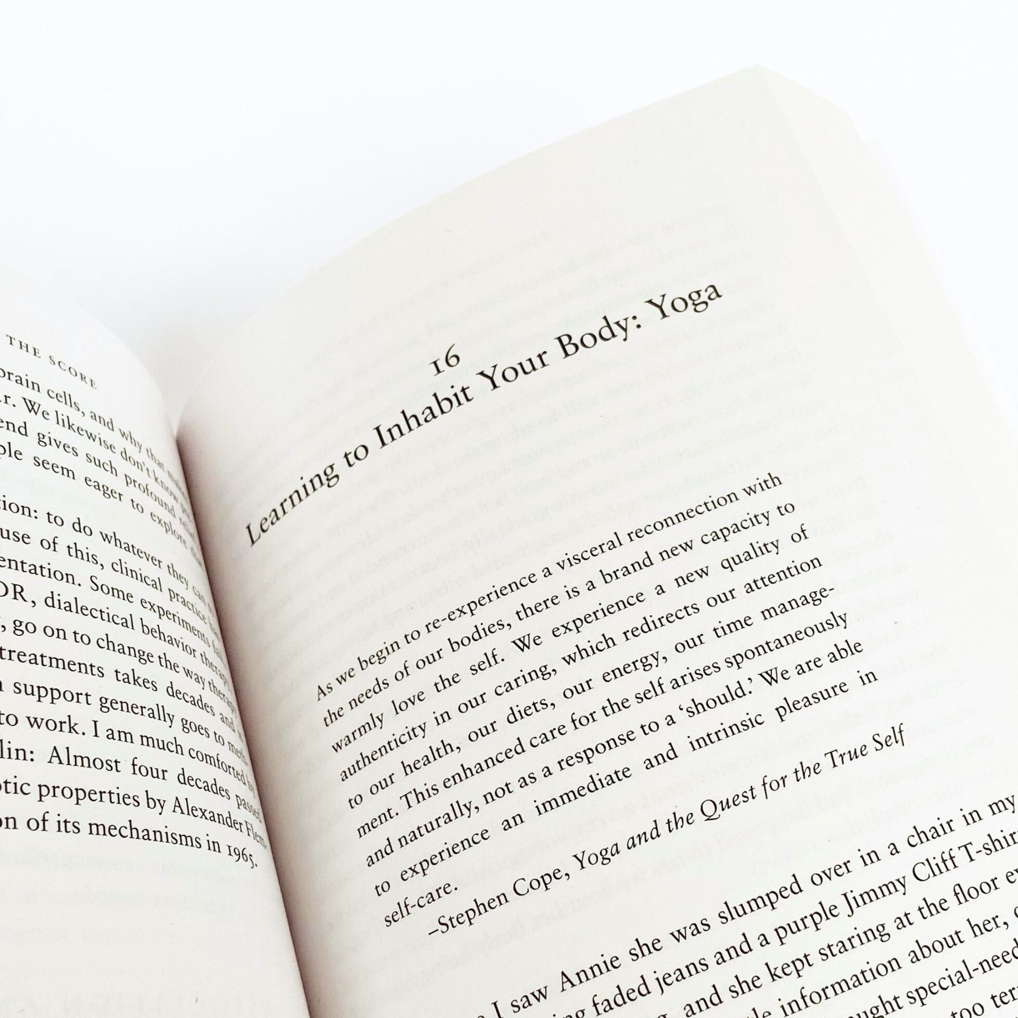 THE BODY KEEPS THE SCORE by Bessel van der Kolk